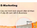 Các mô hình kinh doanh điện tử theo 4 cấp độ cam kết E-Business