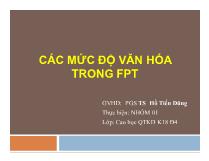 Các mức độ văn hóa trong FPT