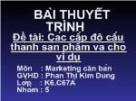 Đề tài Các cấp độ cấu thành sản phẩm và cho ví dụ