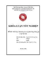 Đề tài Chiến lược Marketing cho sản phẩm hàng không giá rẻ tại Việt Nam
