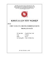 Đề tài Chức năng của thương nghiệp bán buôn trong sản xuất