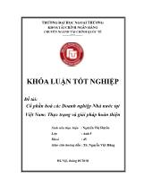 Đề tài Cổ phần hoá các Doanh nghiệp Nhà nước tại Việt Nam: Thực trạng và giải pháp hoàn thiện