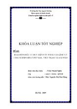 Đề tài Hoạt động đầu tư trực tiếp nước ngoài vào lĩnh vực công nghiệp điện ở Việt Nam - Thực trạng và giải pháp