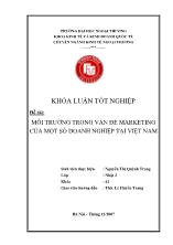 Đề tài Môi trường trong vấn đề marketing của một số doanh nghiệp tại Việt Nam