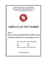 Đề tài Nâng cao hiệu quả áp dụng thương mại điện tử trong hoạt động kinh doanh của doanh nghiệp Việt Nam