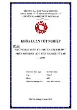Đề tài Những đặc điểm chính của thị trường phân phối bán lẻ ở Việt Nam kể từ sau 1/1/2009