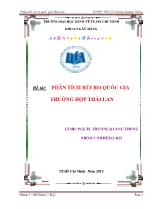 Đề tài Phân tích rủi ro quốc gia trường hợp Thái Lan
