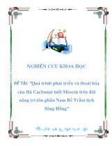Đề tài Quá trình phát triển và thoái hóa của Đá Cacbonat tuổi Miocen trên đới nâng tri tôn phần Nam Bể Trầm tích Sông Hồng