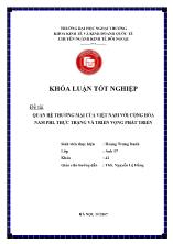Đề tài Quan hệ thương mại của Việt Nam với cộng hòa Nam Phi, thực trạng và triển vọng phát triển