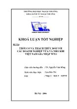Đề tài Thời cơ và thách thức đối với các doanh nghiệp vừa và nhỏ khi Việt Nam gia nhập WTO