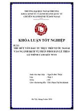 Đề tài Thu hút vốn đầu tư trực tiếp nước ngoài vào ngành dịch vụ phân phối bán lẻ theo lộ trình cam kết WTO