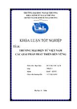 Đề tài Thương mại điện tử Việt Nam các giải pháp phát triển bền vững