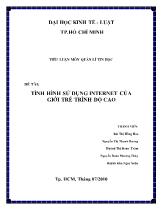 Đề tài Tình hình sử dụng internet của giới trẻ trình độ cao