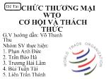 Đề tài Tổ chức thương mại WTO cơ hội và thách thức