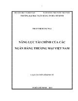 Năng lực tài chính của các ngân hàng thương mại Việt Nam