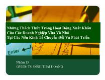 Những thách thức trong hoạt động xuất khẩu của các doanh nghiệp vừa và nhỏ tại các nền kinh tế chuyển đổi và phát triển