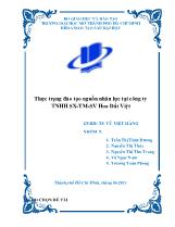 Thực trạng đào tạo nguồn nhân lực tại công ty TNHH sản xuất-thương mại-dịch vụ Hoa Đất Việt