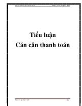 Tiểu luận Cán cân thanh toán