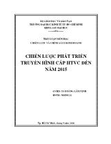 Tiểu luận Chiến lược phát triển truyền hình cáp HTVC đến năm 2015