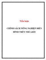 Tiểu luận Chính sách nông nghiệp điển hình trên thế giới