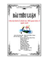 Tiểu luận Chu kỳ kinh tế chính trị: Mối quan tâm về ngân sách