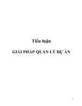 Tiểu luận Giải pháp quản lý dự án