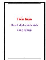 Tiểu luận Hoạch định chính sách nông nghiệp