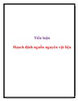 Tiểu luận Họach định nguồn nguyên vật liệu
