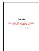 Tiểu luận Năng lực tiến hóa của tổ chức dân cư và cộng đồng