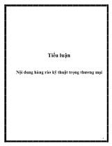 Tiểu luận Nội dung hàng rào kỹ thuật trọng thương mại
