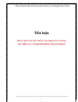 Tiểu luận Phân tích nguyên nhân, tác động của ngoại tác tiêu cực và trường hợp công ty Vedan