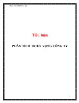 Tiểu luận Phân tích triển vọng công ty