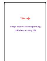 Tiểu luận Sự lựa chọn và thích nghi trong chiến lược và thay đổi