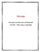 Tiểu luận Thu ngân sách nhà nước tại Thành phố Cần Thơ – Thực trạng và giải pháp