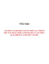Tiểu luận Vai trò của bộ phận nguồn nhân lực trong việc xây dựng tính cạnh tranh của tổ chức-Quan điểm của thuyết vai trò