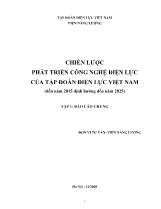Chiến lược phát triển công nghệ điện lực của Tập đoàn Điện lực Việt Nam (đến năm 2015 định hướng đến năm 2025)