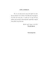 Cơ sở khoa học hoàn thiện chính sách nhà nước đối với kinh tế có vốn đầu tư nước ngoài (FIE) ở Việt Nam