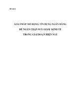 Đề tài Giải pháp mở rộng tín dụng ngân hàng để ngăn chặn suy giảm kinh tế trong giai đoạn hiện nay