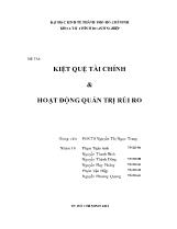 Đề tài Kiệt quệ tài chính & hoạt động quản trị rủi ro
