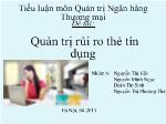 Đề tài Quản trị rủi ro thẻ tín dụng