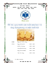 Đề tài Quy trình sản xuất amylase và ứng dụng trong sản xuất mật tinh bột