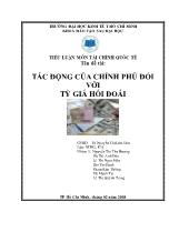 Đề tài Tác động của chính phủ đối với tỷ giá hối đoái