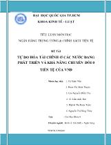 Đề tài Tự do hóa tài chính ở các nước đang phát triển và khả năng chuyển đổi 0 tiền tệ của vnđ