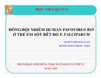 Đồng/bội nhiễm human pavovirus B19 ở trẻ em sốt rét do P. falciparum