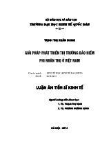 Giải pháp phát triển thị trường bảo hiểm phi nhân thọ ở Việt Nam