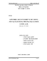Giới thiệu một số nghiệp vụ huy động vốn tại ngân hàng thương mại cổ phần Á Châu_ACB