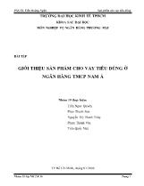Giới thiệu sản phẩm cho vay tiêu dùng ở ngân hàng TMCP Nam Á