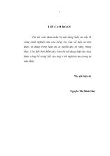 Hoạt động giám sát của Ngân hàng Nhà nước Việt Nam đối với Ngân hàng thương mại
