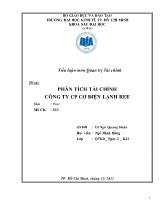 Phân tích tài chính công ty cổ phần cơ điện lạnh Ree