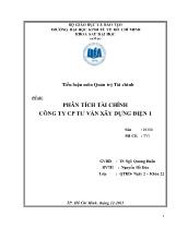 Phân tích tài chính công ty cổ phần tư vấn xây dựng Điện 1